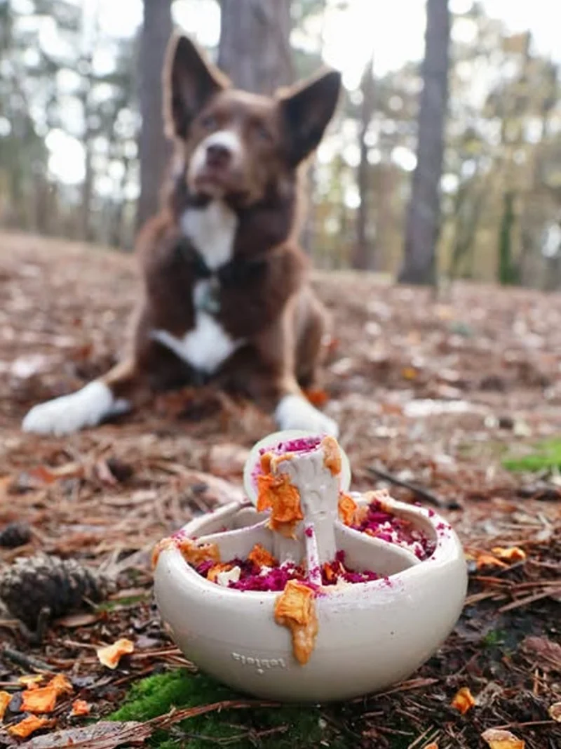 Jouet occupation pour chien - Champignon 🍄 - Loblola