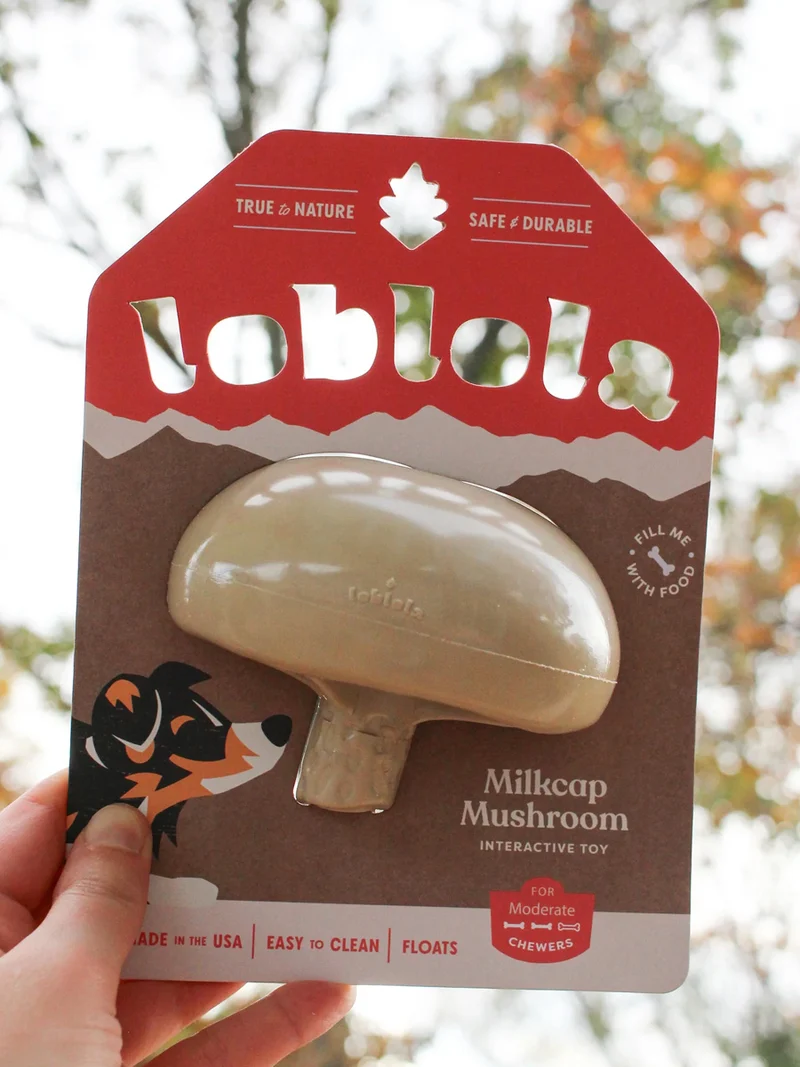 Jouet occupation pour chien - Champignon 🍄 - Loblola