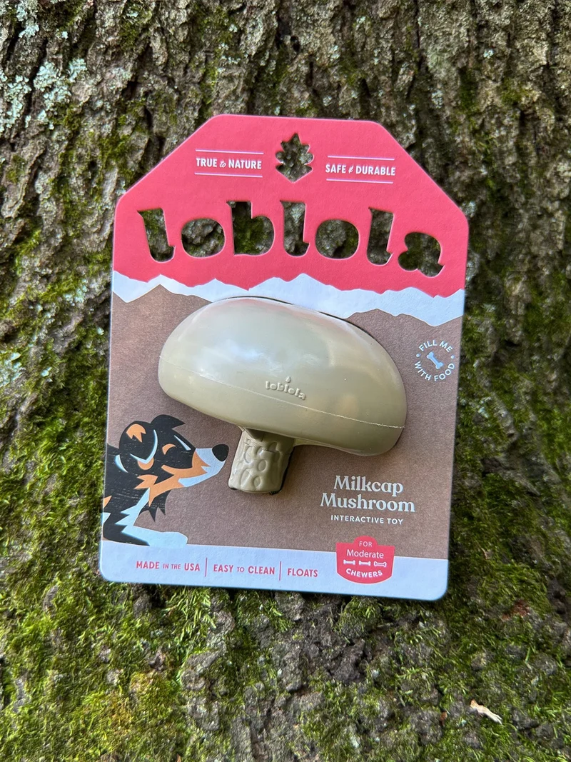 Jouet occupation pour chien - Champignon 🍄 - Loblola