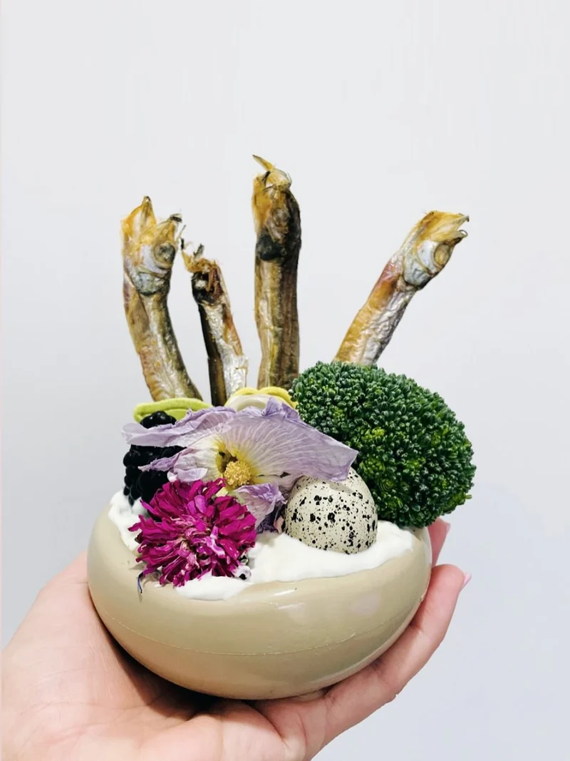 Jouet occupation pour chien - Champignon 🍄 - Loblola