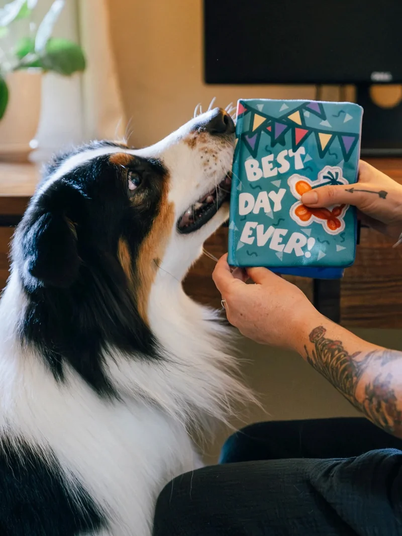 Peluche pour chien - Party Animals 🥳 Carte d'anniversaire - Pet PLAY