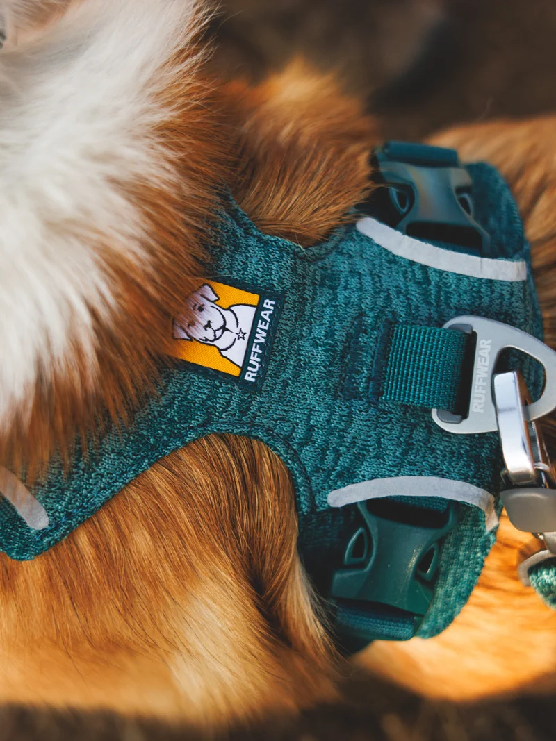 Harnais ruffwear - Front Range Flex Harness - Deep teal