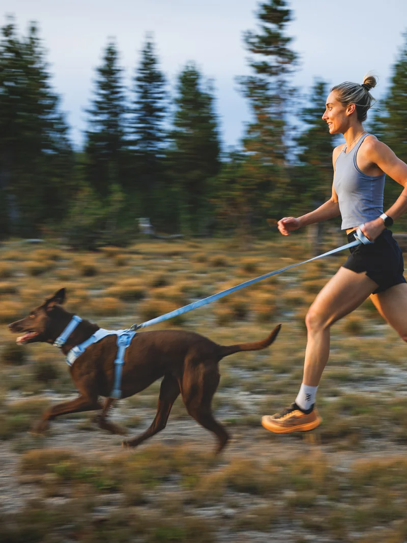 Harnais ruffwear - Front Range Flex Harness - Bleu polaire