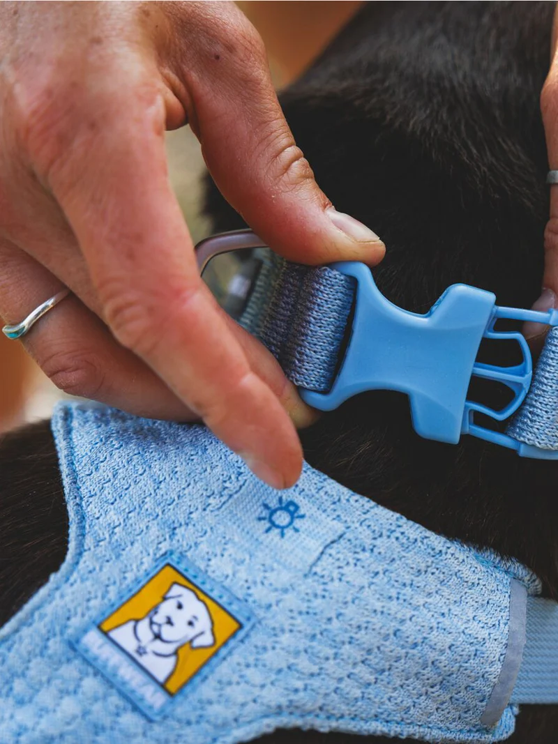 Harnais ruffwear - Front Range Flex Harness - Bleu polaire