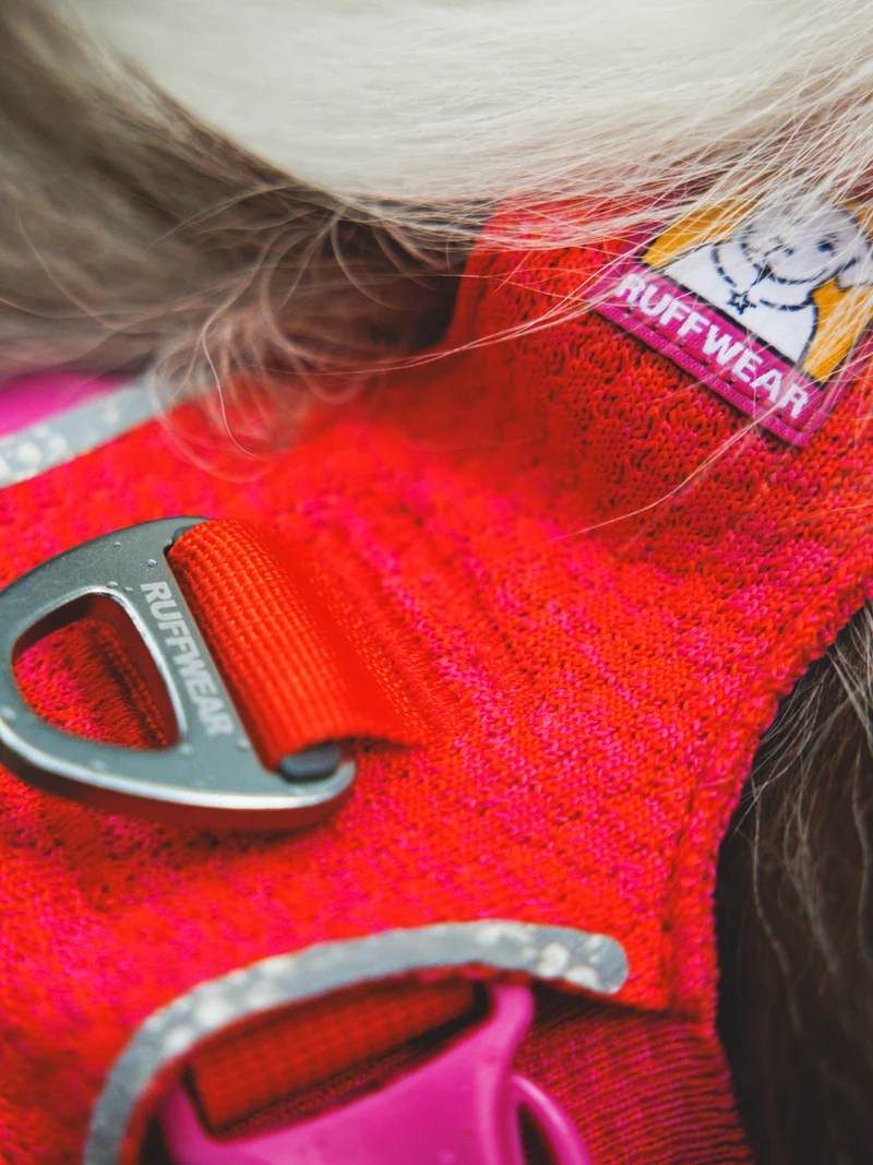 Harnais ruffwear - Front Range Flex Harness - Rose-Violet