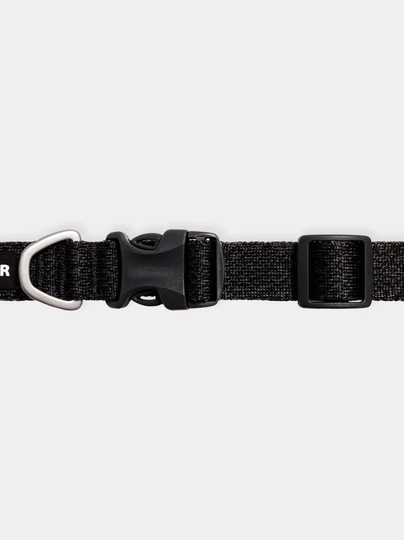 Collier pour chien Ruffwear - Front Range Flex collar - Gris