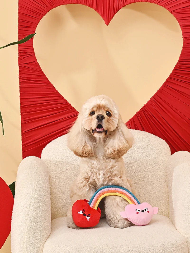 Peluche pour chien - Woof Love Coeur Arc en ciel 🌈❤️ - HugSmart