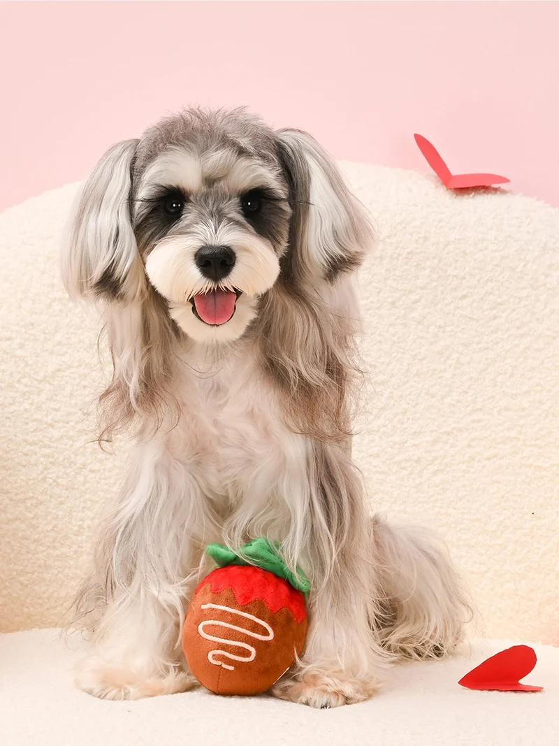 Balle en peluche pour chien - Woof Love Fraise chocolat 🍓🍫 - HugSmart