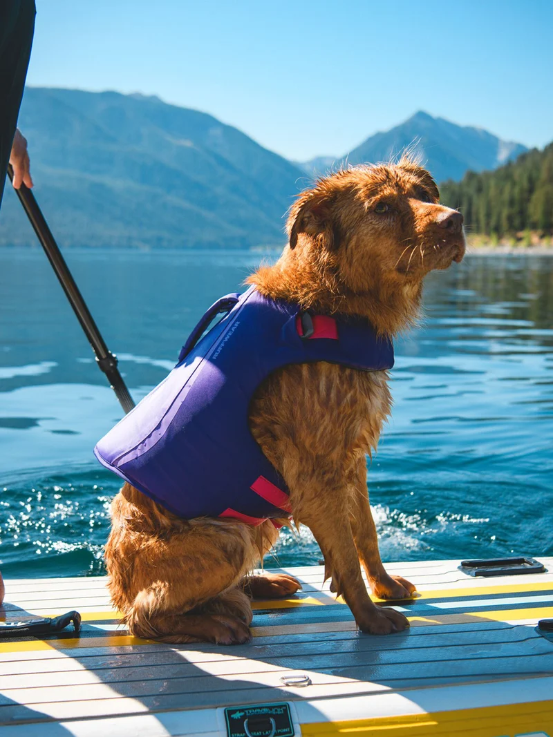 Gilet de sauvetage pour chien - Float coat Violet - Ruffwear