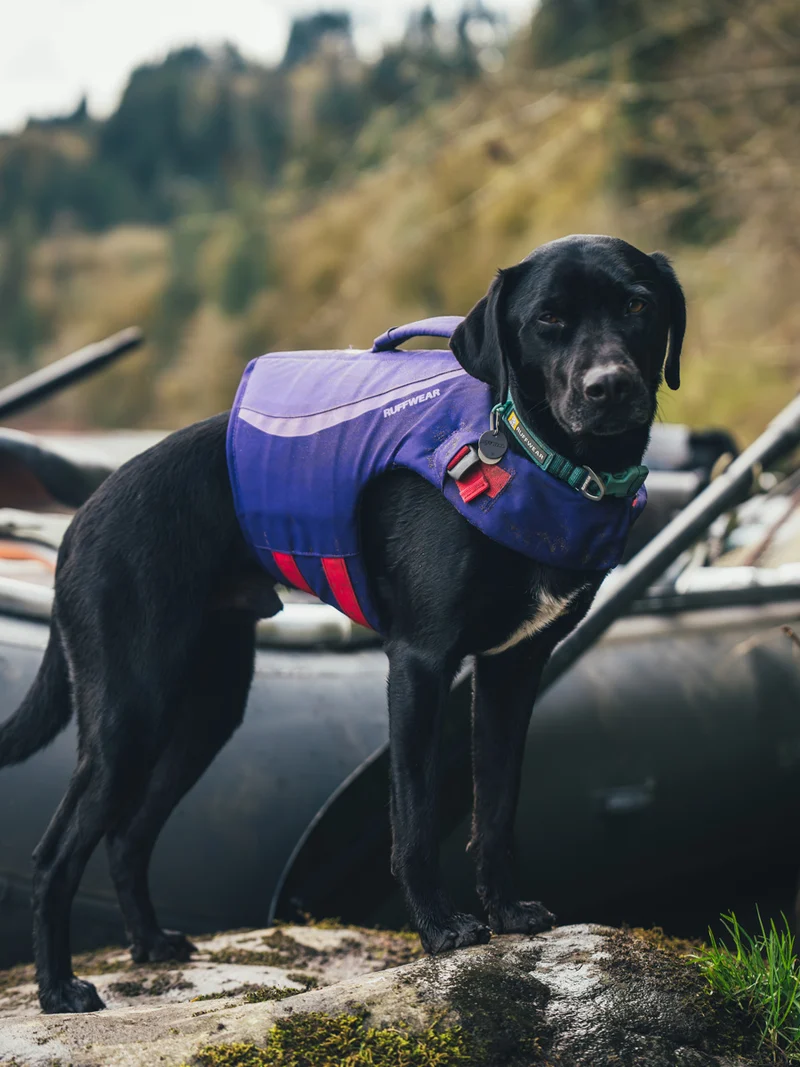 Gilet de sauvetage pour chien - Float coat Violet - Ruffwear