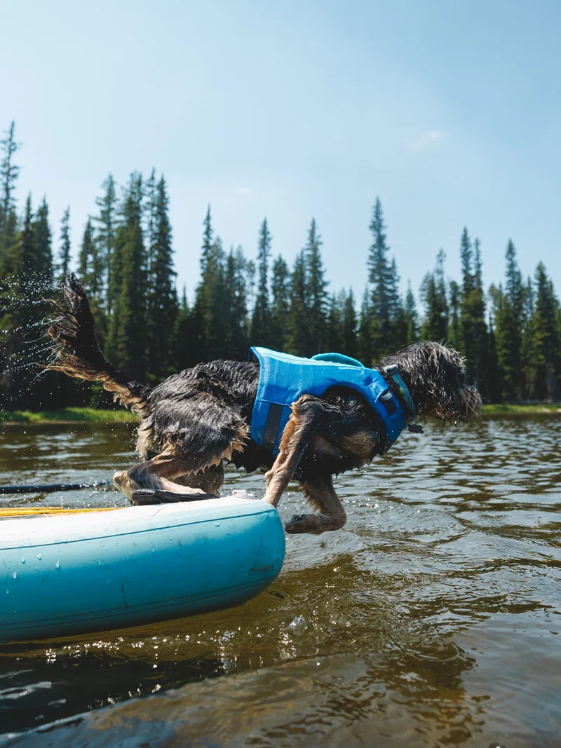 Gilet de sauvetage pour chien - Float coat Bleu - Ruffwear