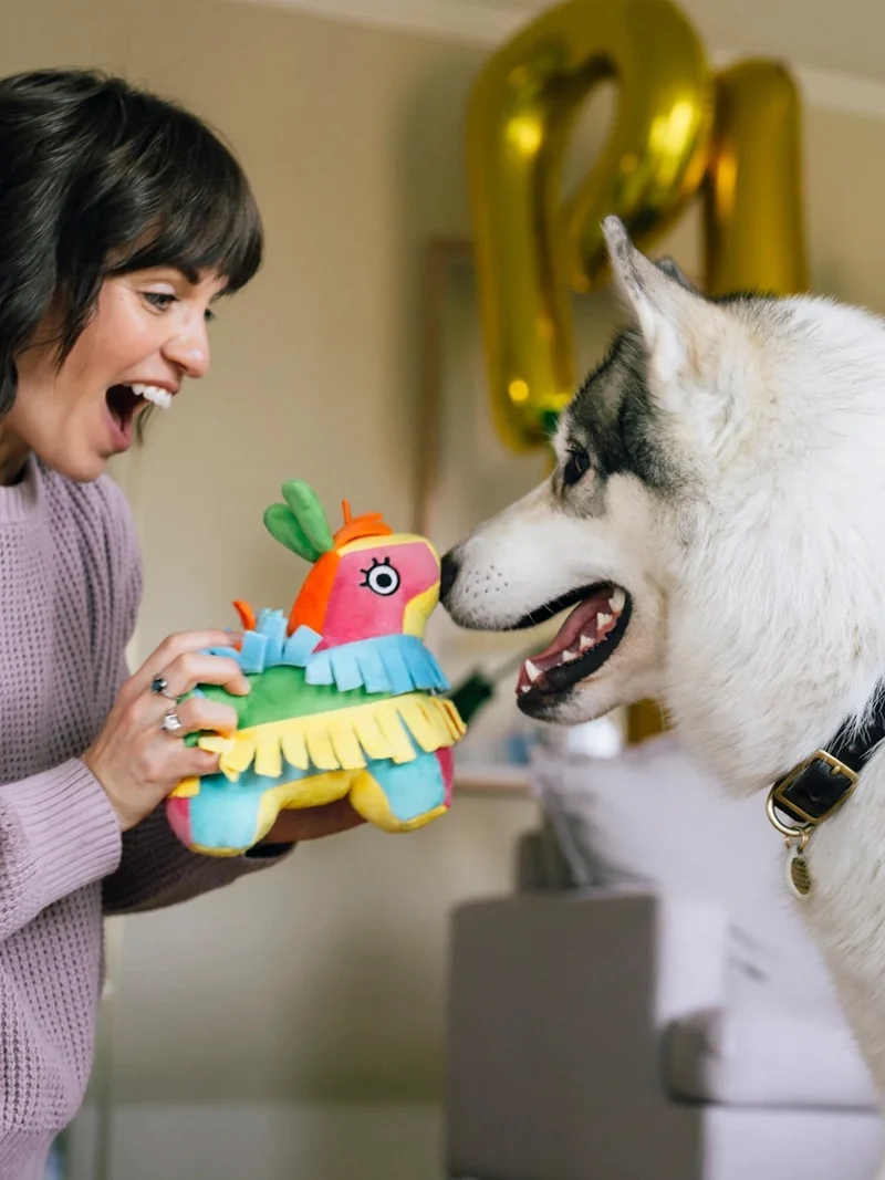 Peluche pour chien - Party Animals 🥳 Pinata - Pet PLAY