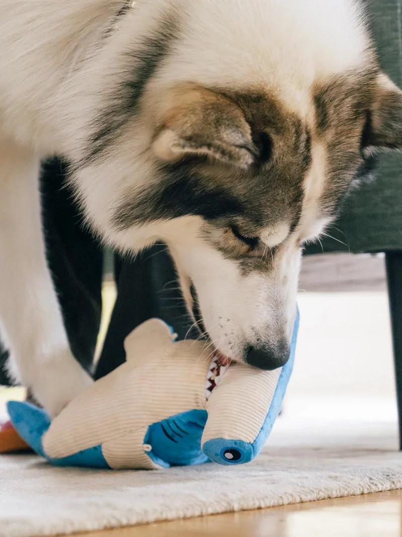 Peluche pour chien - Ocean Buddies Requin marteau - Pet PLAY