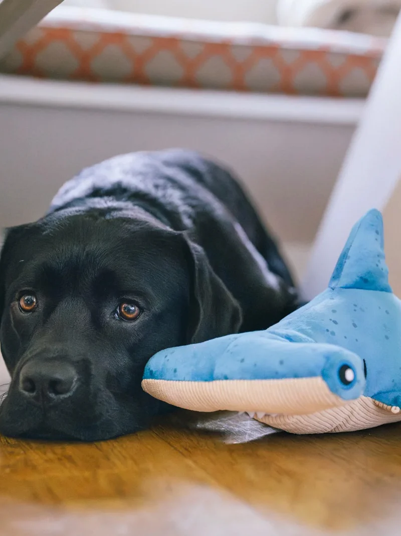 Peluche pour chien - Ocean Buddies Requin marteau - Pet PLAY