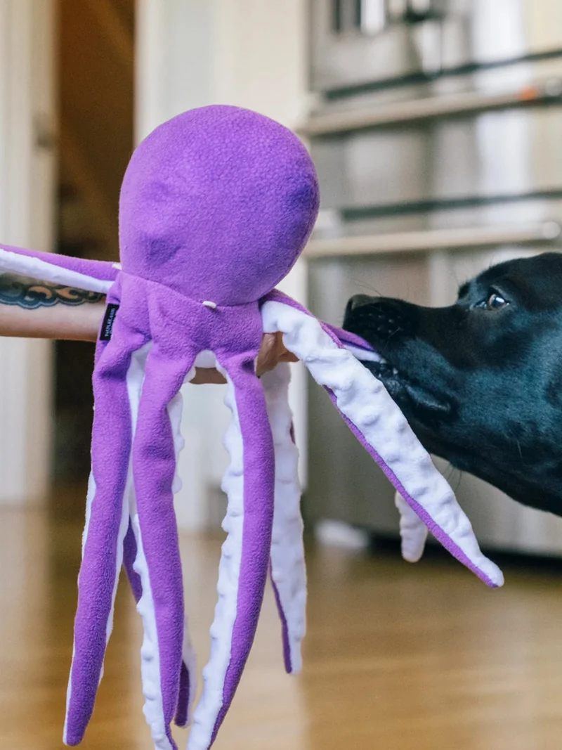 Peluche pour chien - Ocean Buddies Pieuvre 🐙 - Pet PLAY