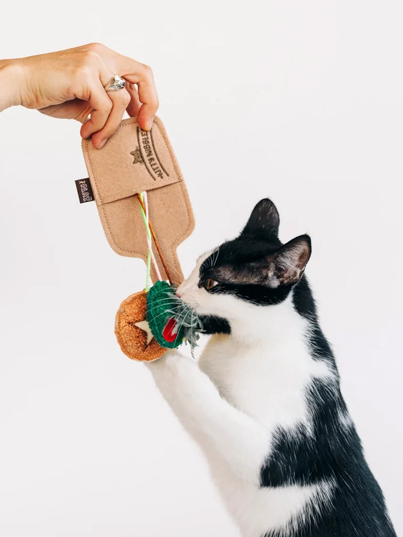 Jouet pour chat - Plateau de charcuterie 🥓 - Pet PLAY