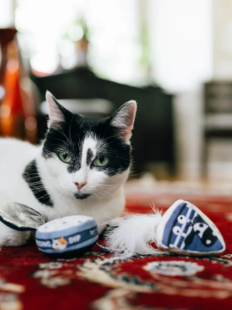 Jouet pour chat - Plateau de fromage 🧀 - Pet PLAY