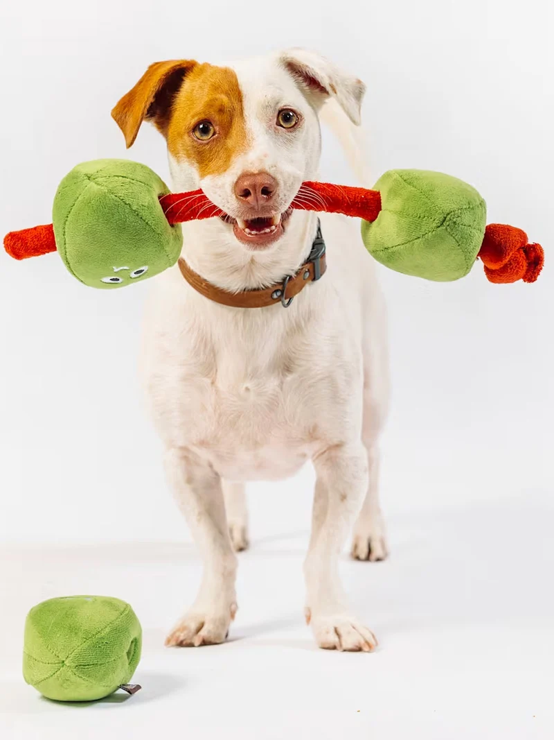Peluche pour chien - Wine Bar Olives 🫒 - Pet PLAY