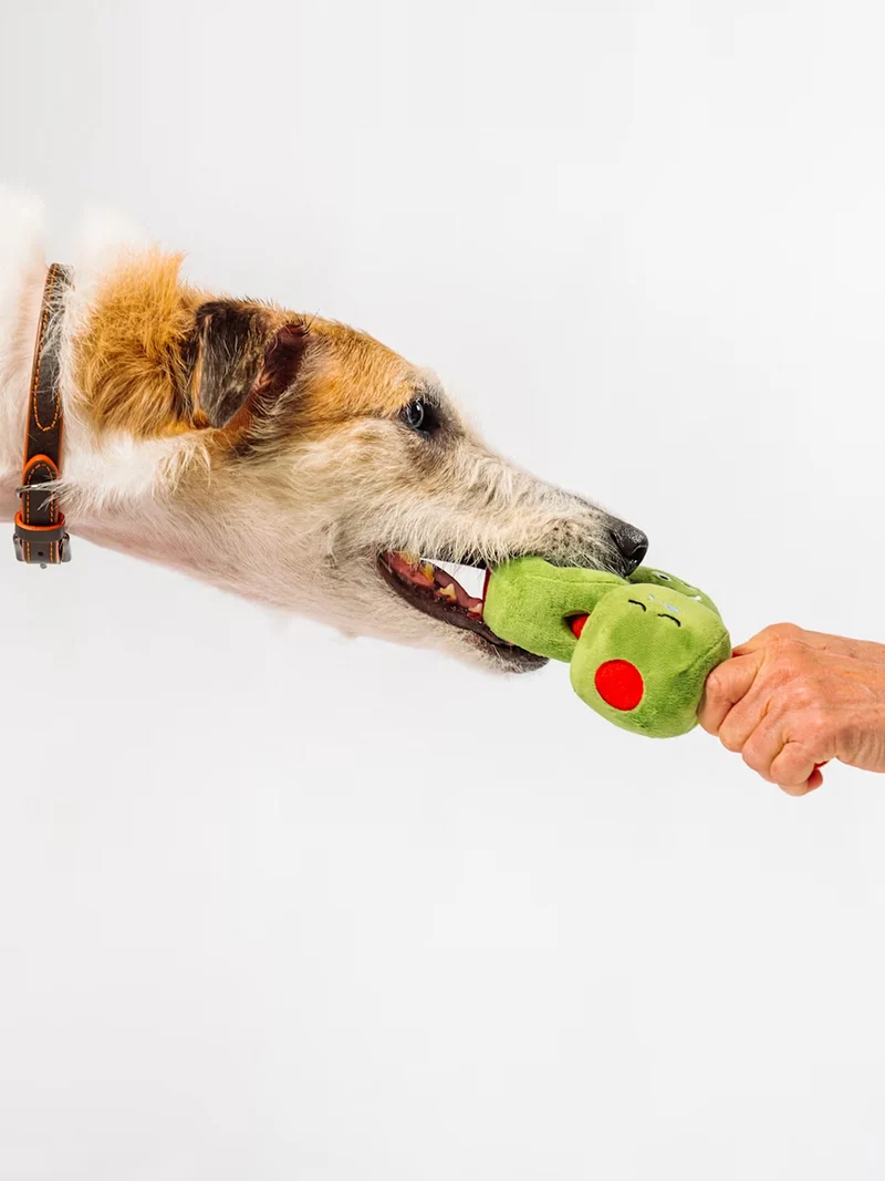 Peluche pour chien - Wine Bar Olives 🫒 - Pet PLAY