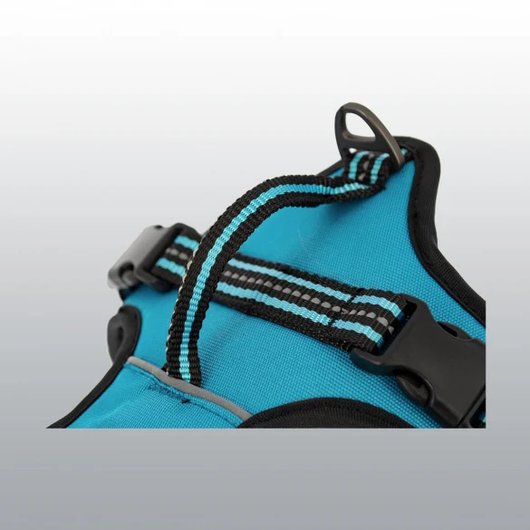 Harnais Dynamic coloré pour chien