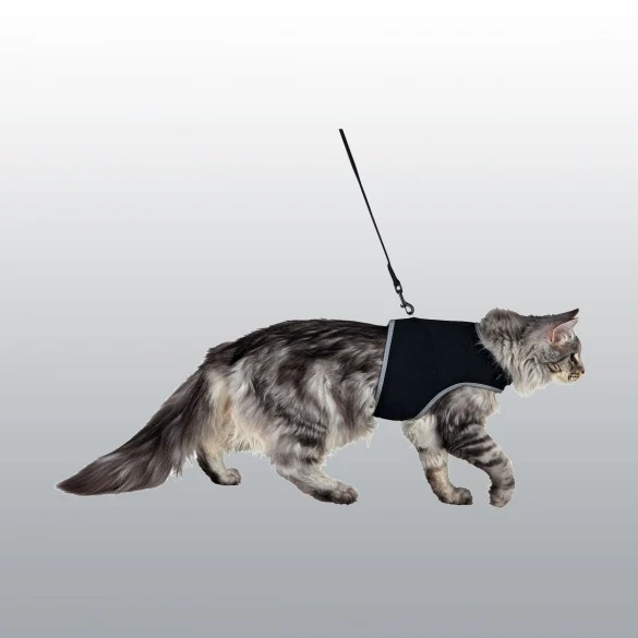 Harnais soft XXL noir avec laisse pour chat