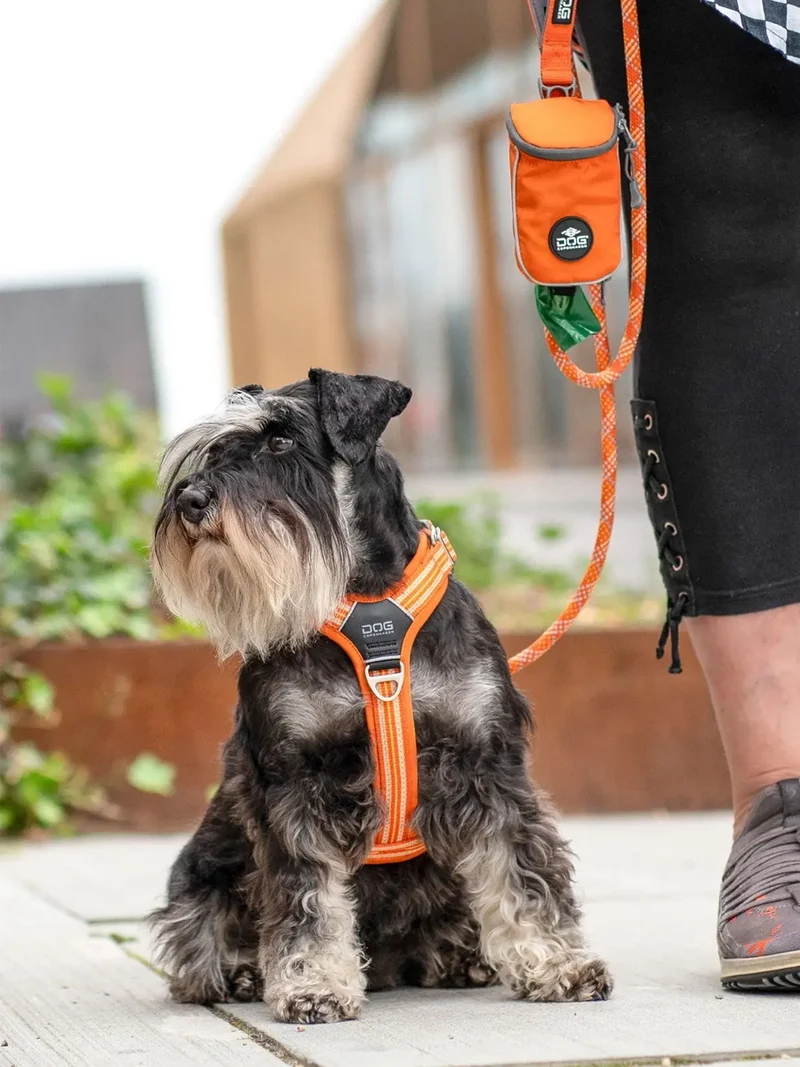 Laisse pour chien - Urban Rope Orange - Dog Copenhagen