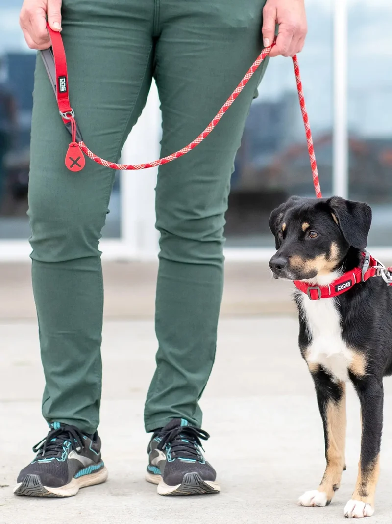 Laisse pour chien - Urban Rope Rouge - Dog Copenhagen