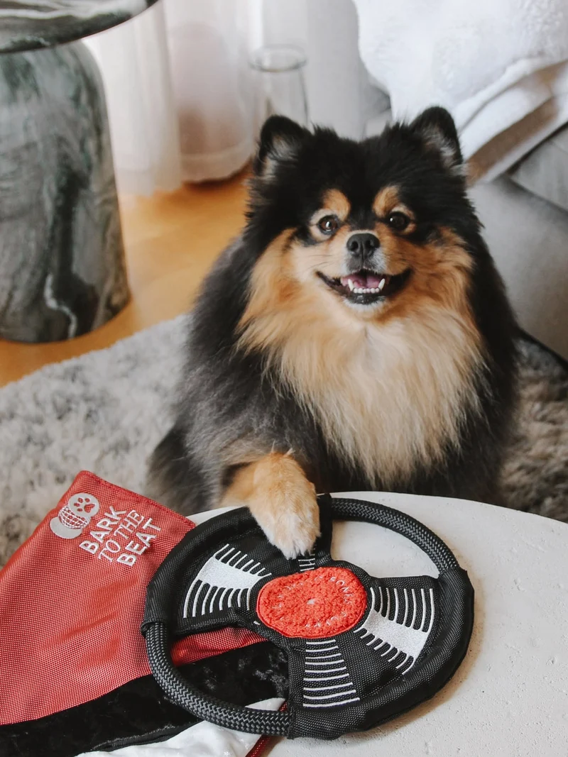 Jeu d'occupation pour chien - Bark To Beat 💿🎵 - Lambwolf Collective