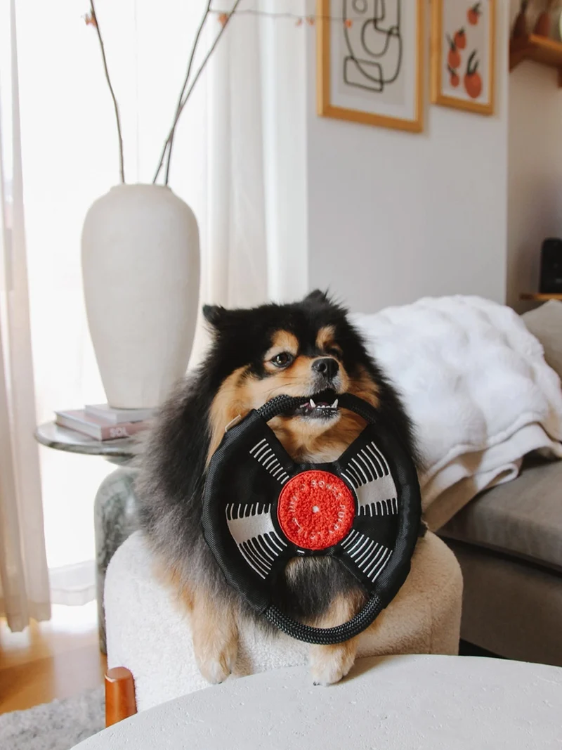 Jeu d'occupation pour chien - Bark To Beat 💿🎵 - Lambwolf Collective