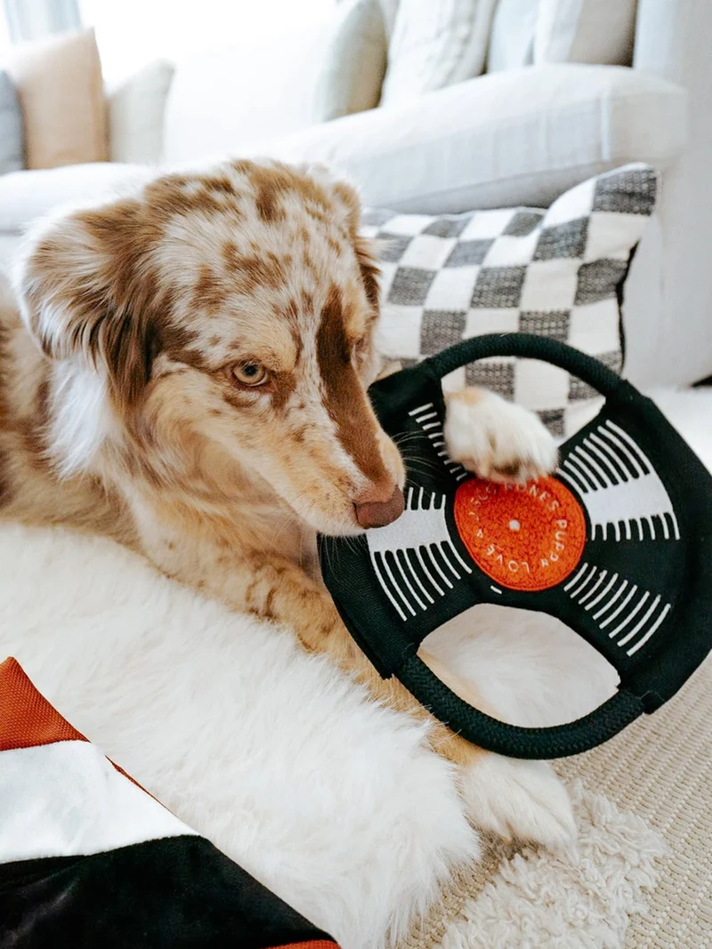 Jeu d'occupation pour chien - Bark To Beat 💿🎵 - Lambwolf Collective
