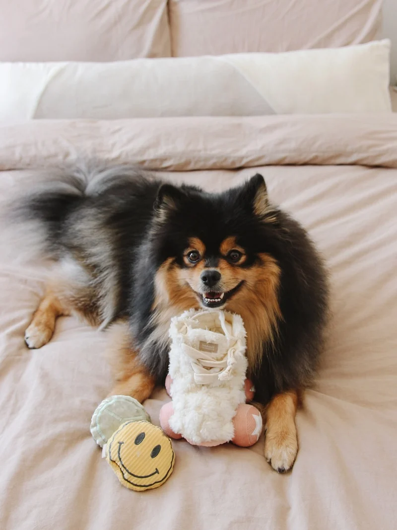 Jeu d'occupation pour chien - Roller Skate 🛼 - Lambwolf Collective