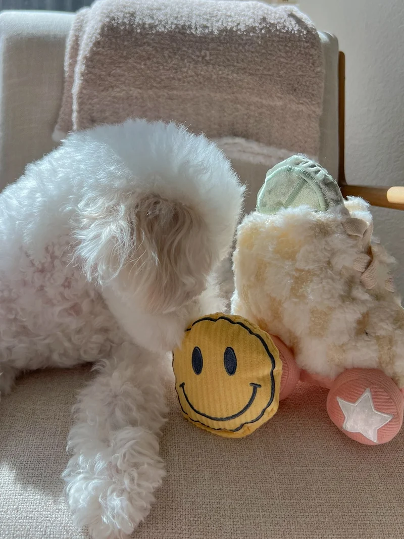 Jeu d'occupation pour chien - Roller Skate 🛼 - Lambwolf Collective