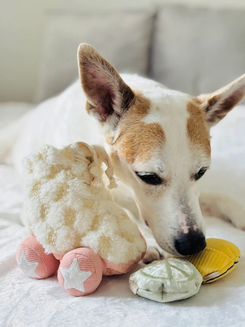 Jeu d'occupation pour chien - Roller Skate 🛼 - Lambwolf Collective