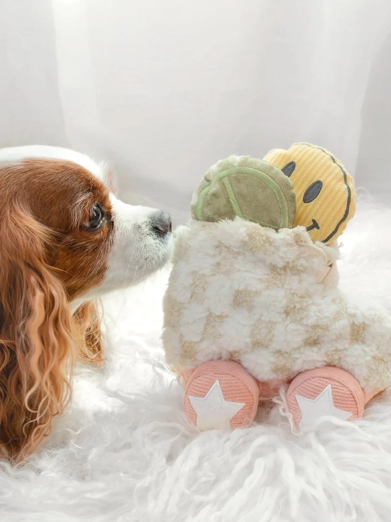 Jeu d'occupation pour chien - Roller Skate 🛼 - Lambwolf Collective