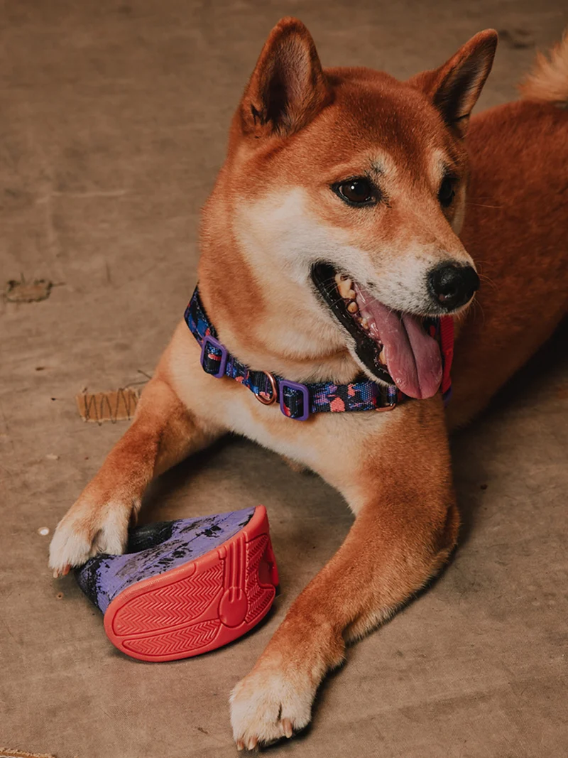 Jouet d'occupation pour chien - Rocking Tug - Reebok x Zee.dog