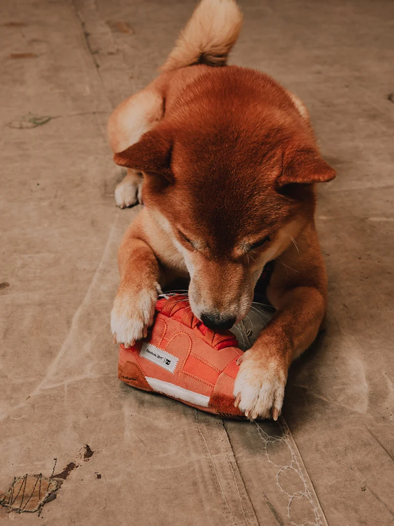 Peluche pour chien - Workout Plus 2en1 👟 - Reebok x Zee.dog