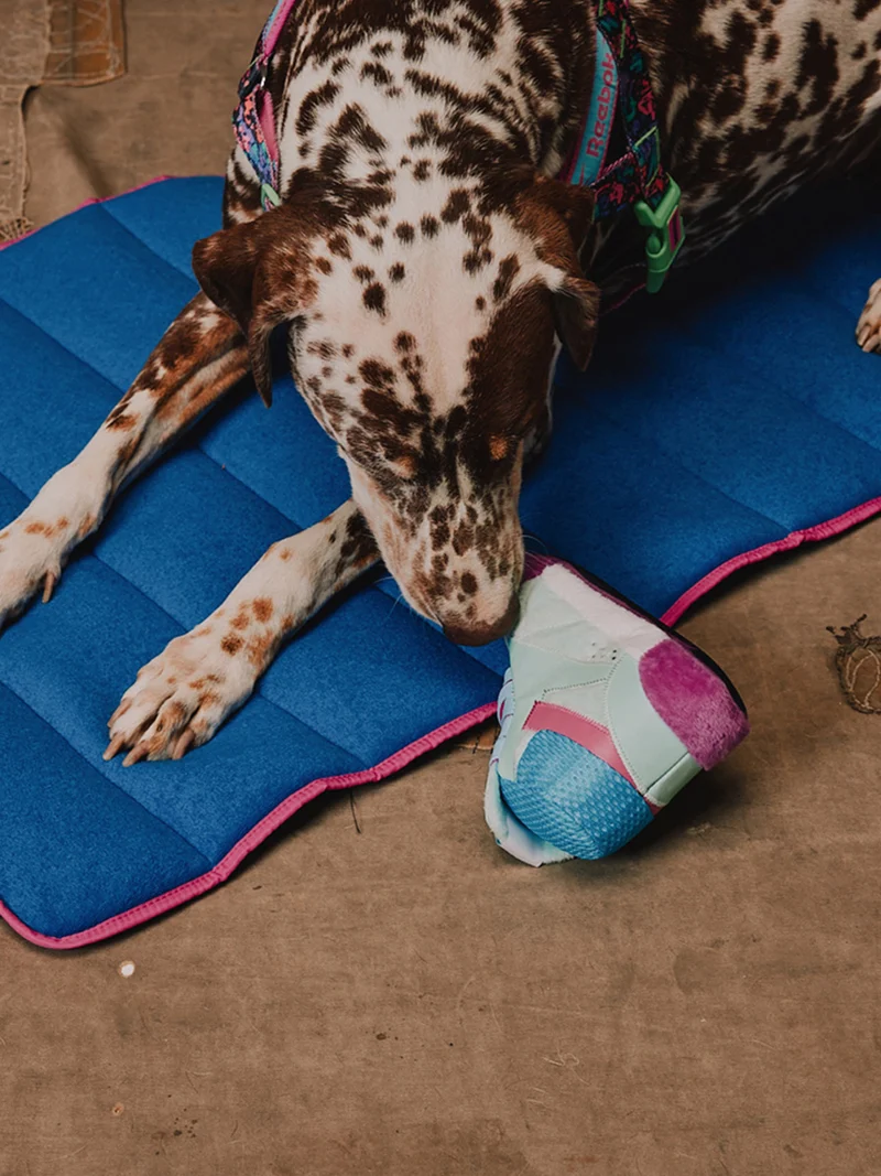Peluche pour chien - Freestyle Plus 2en1 👟 - Reebok x Zee.dog