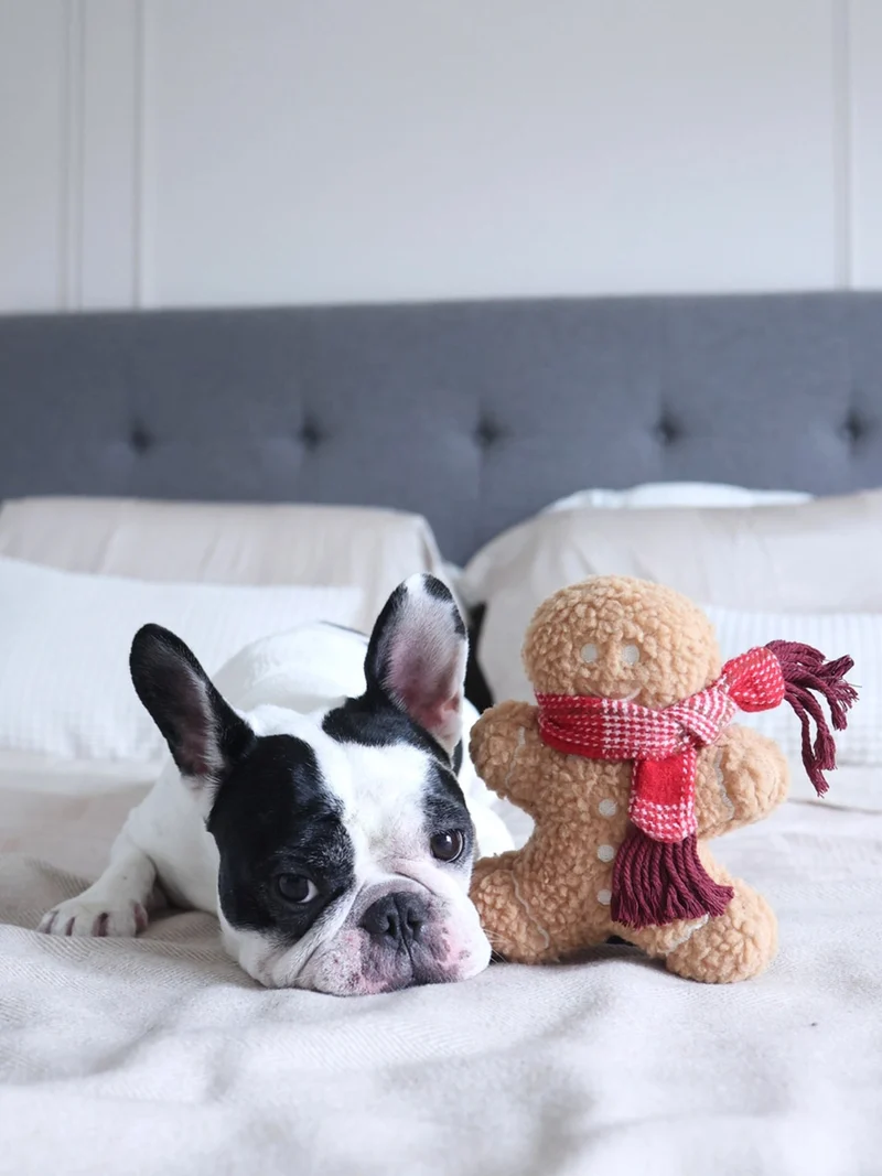 Jouet en peluche pour chien - Pain Epice 🎁 - Lambwolf Collective