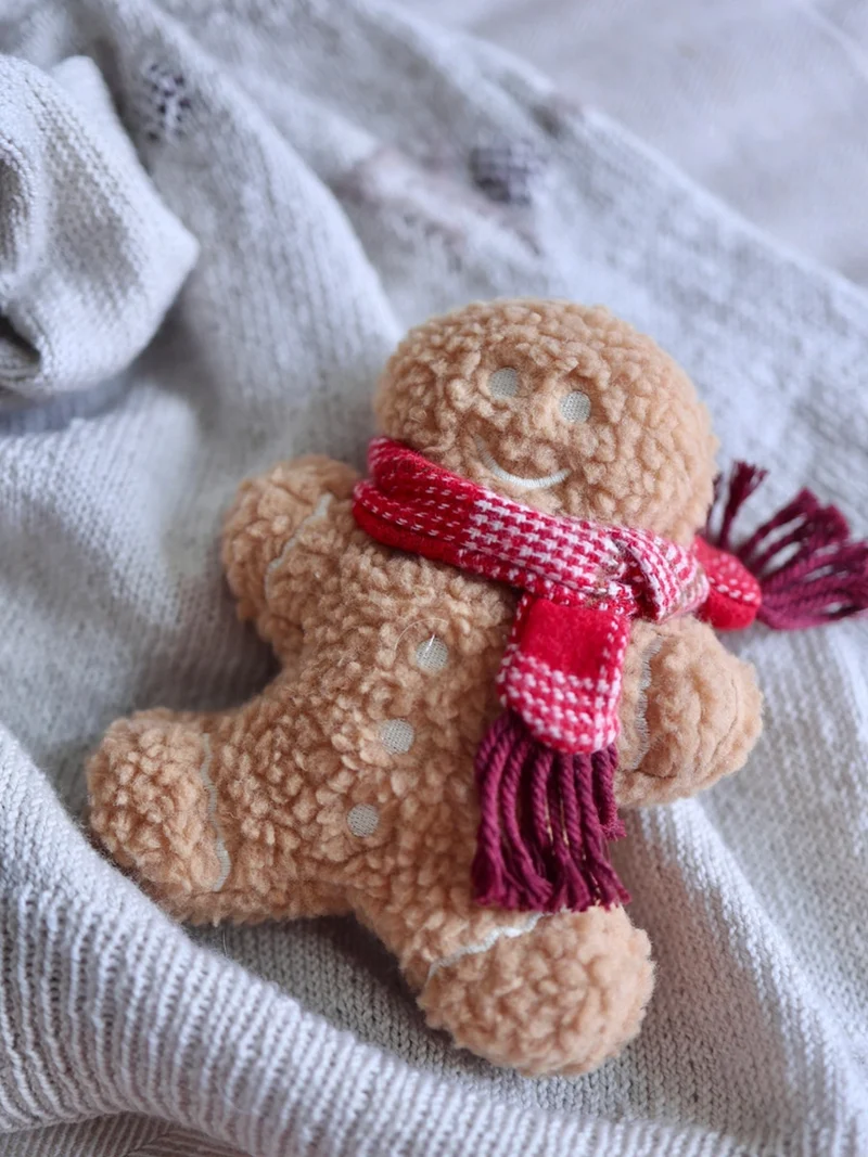 Jouet en peluche pour chien - Pain Epice 🎁 - Lambwolf Collective