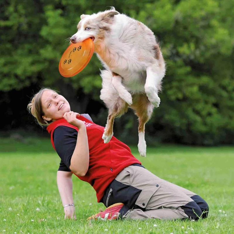 FRISBEE DOG DISC