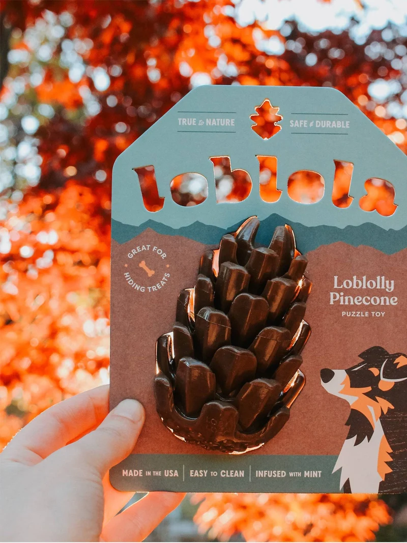 Jouet occupation pour chien - Pomme de Pin - Loblola
