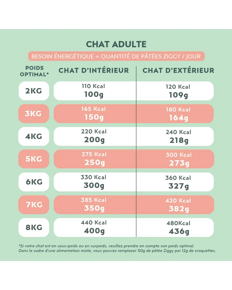 Ziggy Adult Boeuf Pâtée Pour Chat