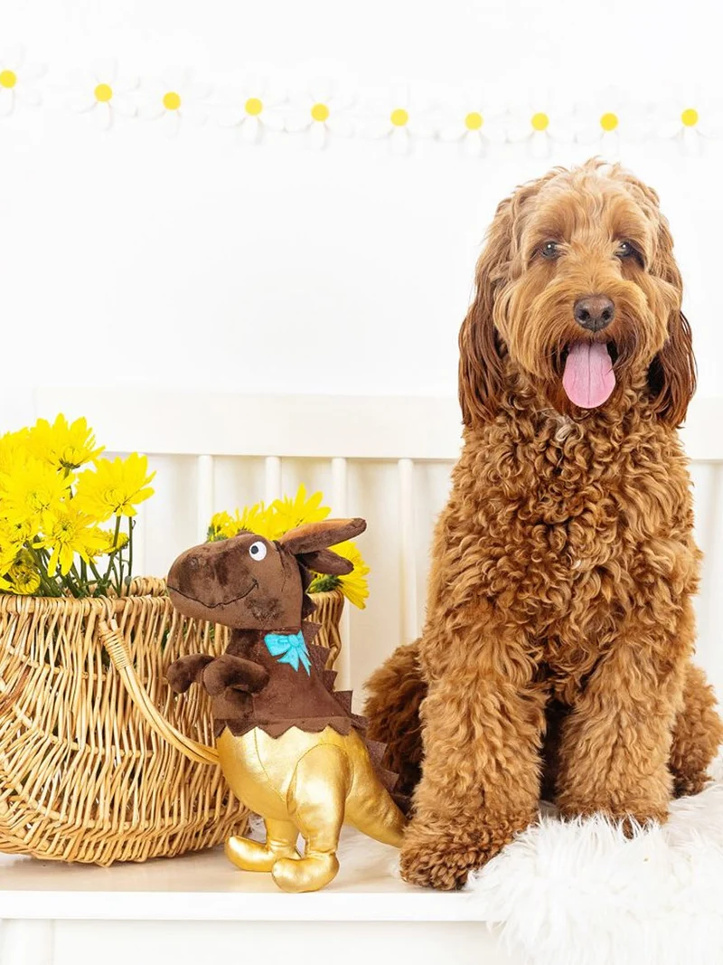 Peluche avec corde pour chien - Dino chocolat - Fringe PetShop