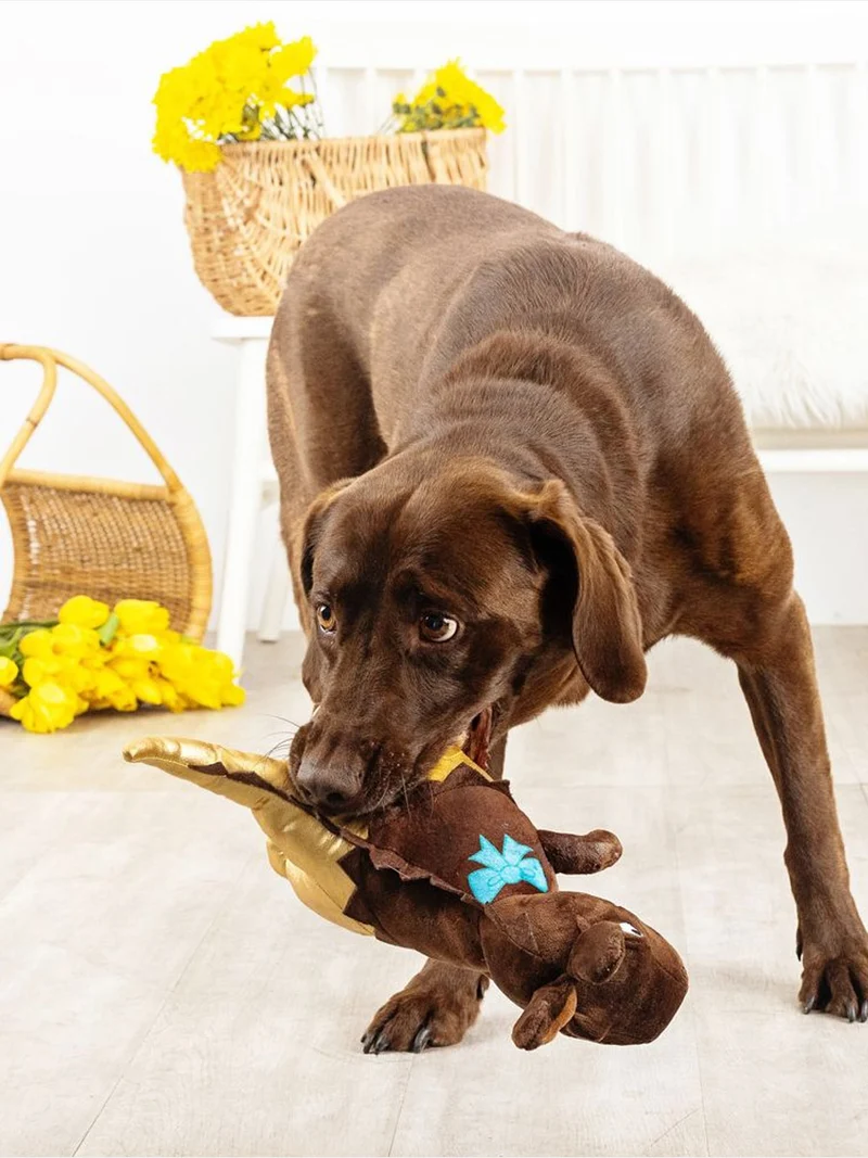 Peluche avec corde pour chien - Dino chocolat - Fringe PetShop