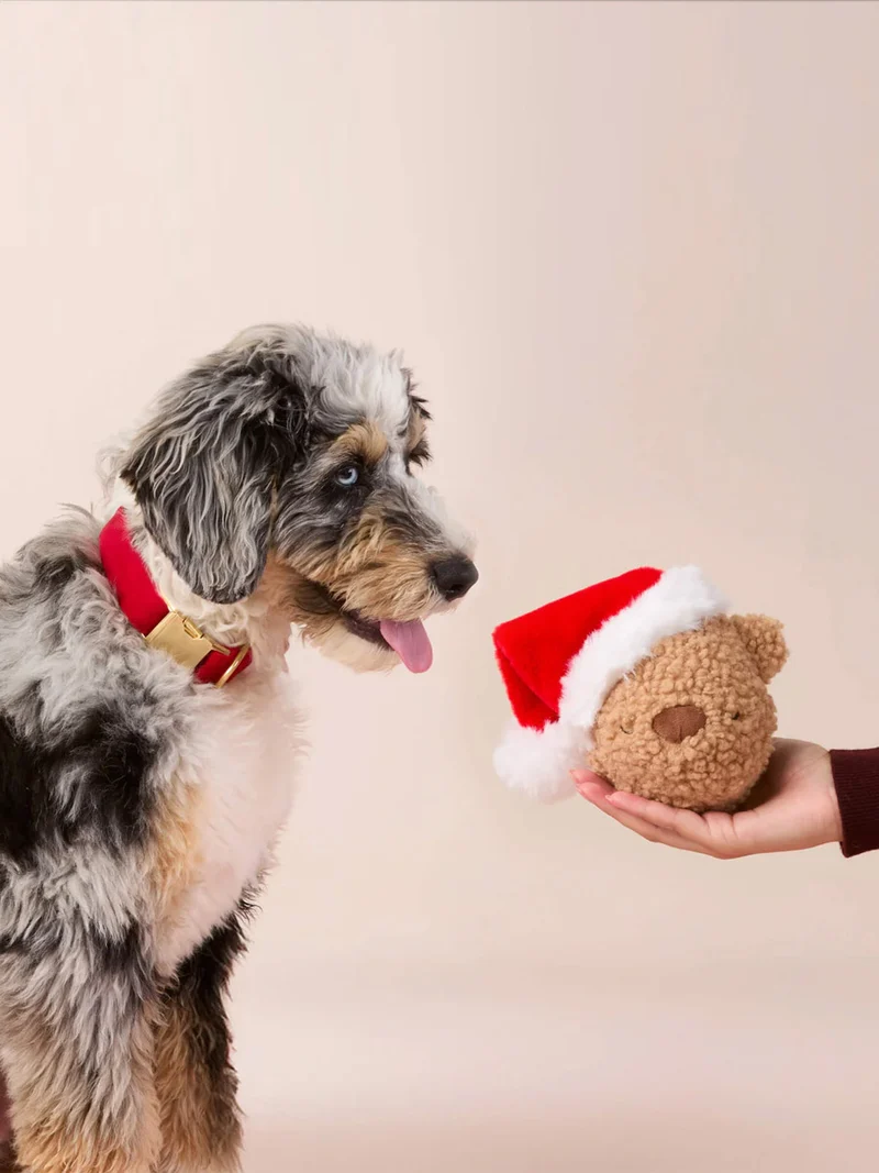 Peluche de Noël pour chien - Santa Bear 🐻🎅 - The Foggy Dog