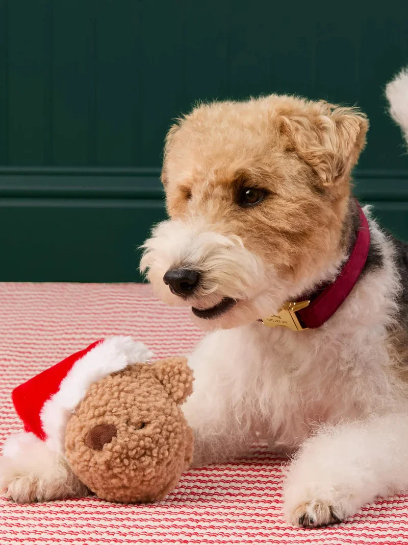 Peluche de Noël pour chien - Santa Bear 🐻🎅 - The Foggy Dog
