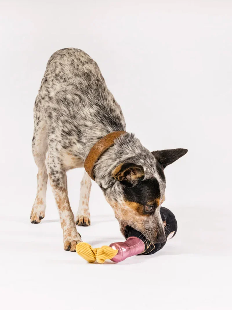 Peluche pour chien - LuxeHotel - DogWine 🍾 - Pet PLAY