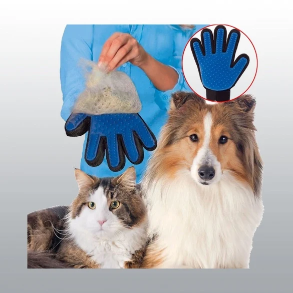 Gant ramasse Poils pour chat et chien