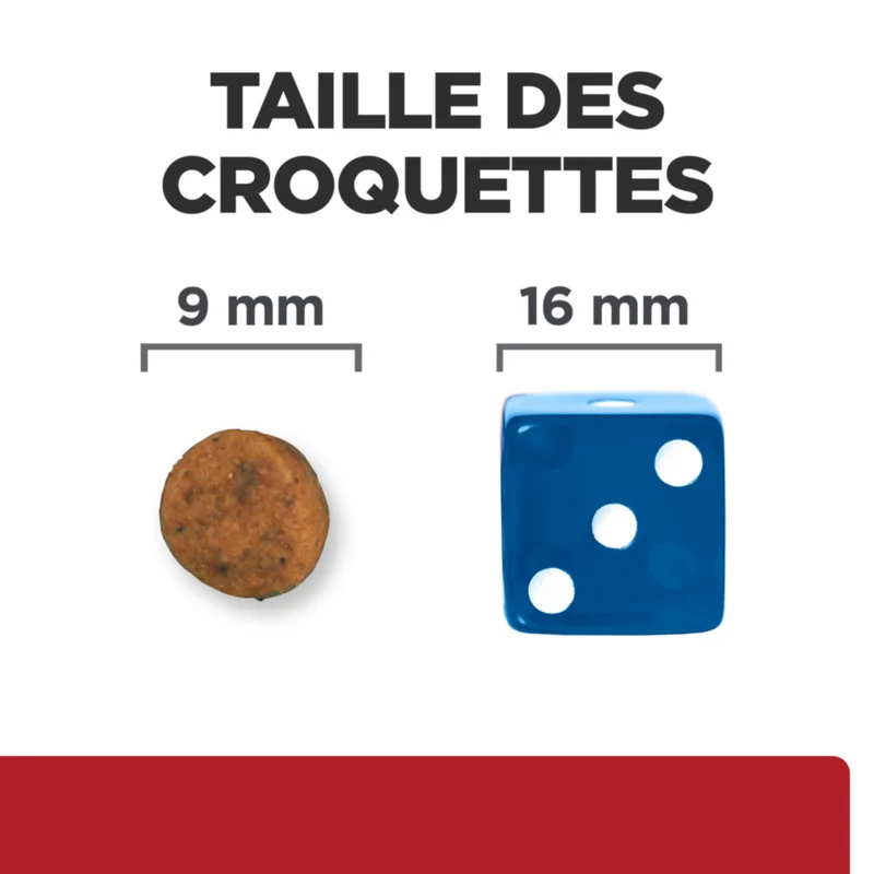 Hill's Prescription Diet I/D Digestive Care Kitten - croquettes chaton