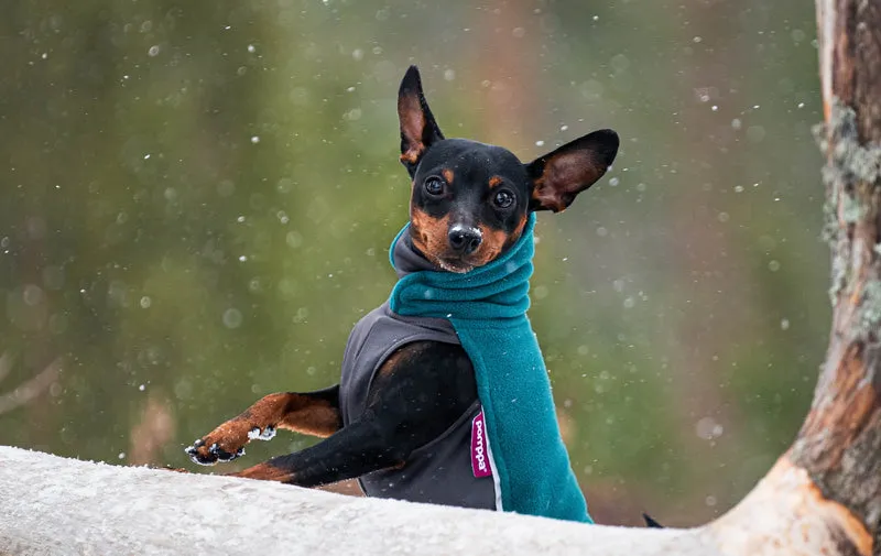 Pomppa Jumppa Forest manteau polaire chien